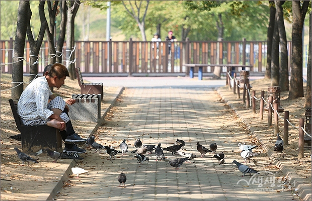 ▲ 벤치에 앉아 비둘기에게 먹이를 주는 사람들.