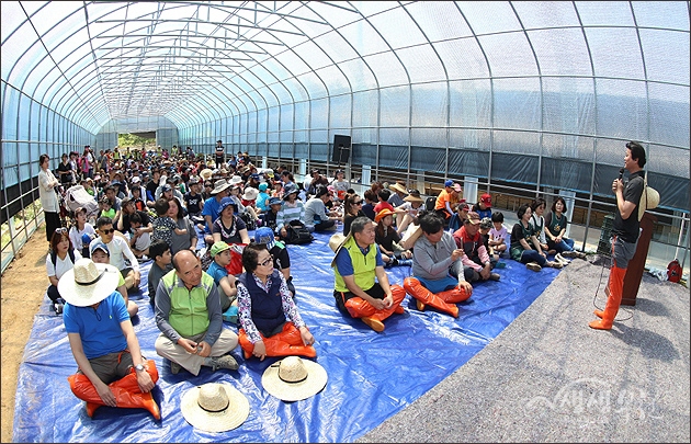 ▲ 인삿말을 하는 김만수 시장과 모내기 행사에 함께 참여한 시민들