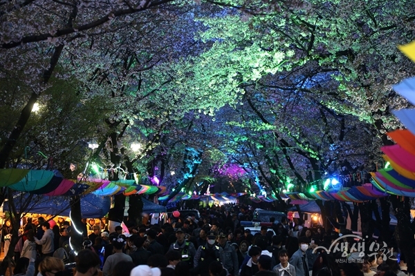 ▲ 도당산 벚꽃축제