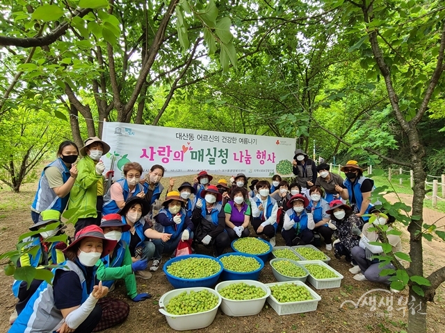 ▲ 대산동 행정복지센터는 지난 10일 ‘사랑의 매실청 나눔 행사’를 개최했다.