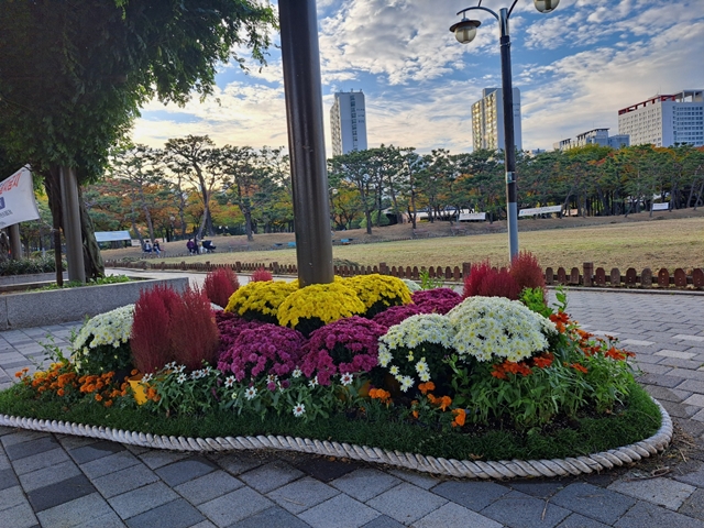 ▲ 중앙공원 가을꽃 전시회