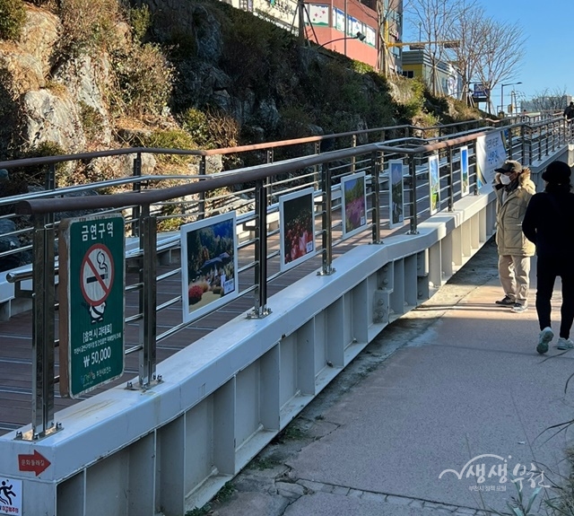 ▲ 심곡천에 전시돼 있는 부천관광 사진 수상작을 둘러보는 시민들