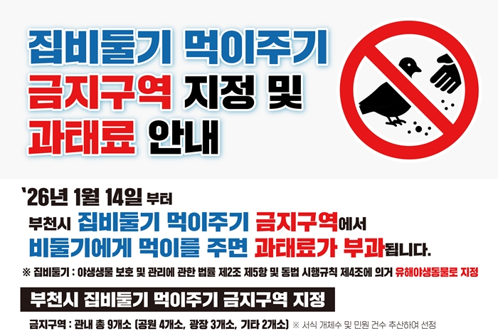 부천시, 내년부터 비둘기 먹이 주기 금지...최대 100만 원 과태료