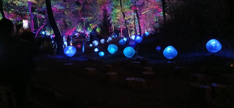 부천루미나래 ‘도화몽’ 개장식에 가다