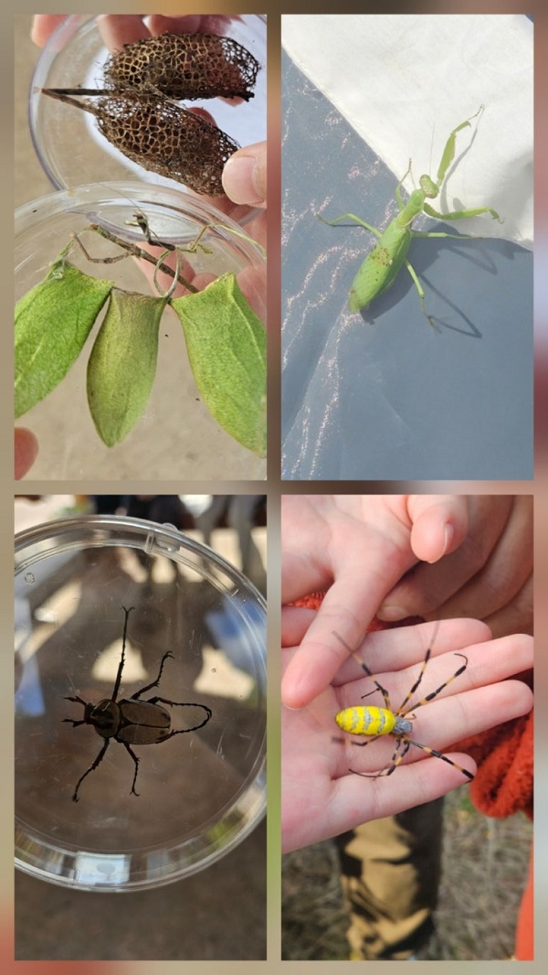 2025 부천늘봄학교 대학연계 프로그램 ‘초록쉼표, 나와 지구의 성장일기’