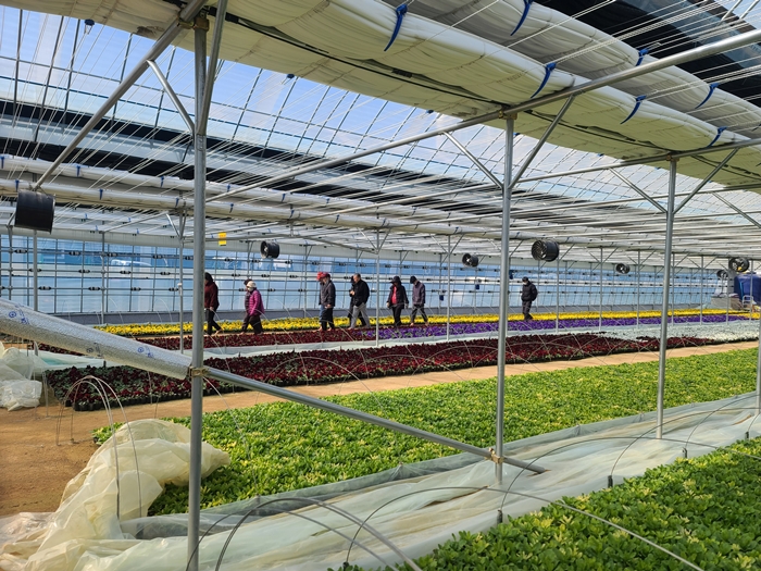 2. 꽃양묘장 맨발길.jpg