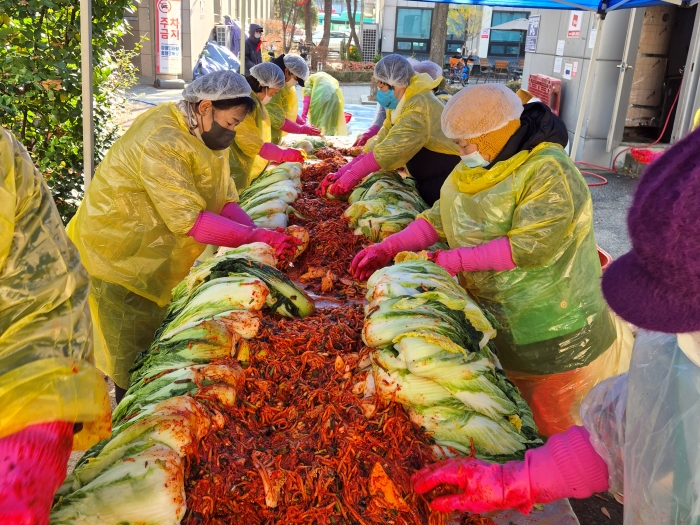 3-3. 새마을부녀회 김치 담그는 모습.jpg