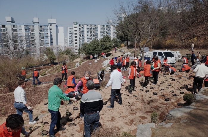 1-1. 송내2동 주민들이 송내공원 일원에서 ‘라임라이트’ 수국을 식재하며 총 900주 규모의 수국동산을 조성하고 있다.jpg