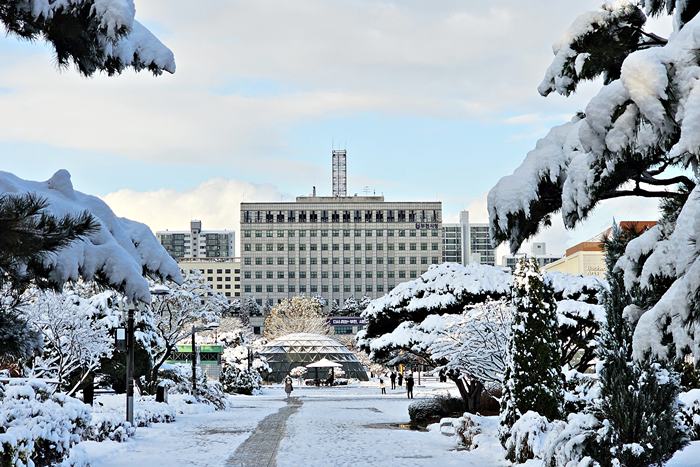부천시, 2026년 건축물 시가표준액 의견 청취 기간 운영